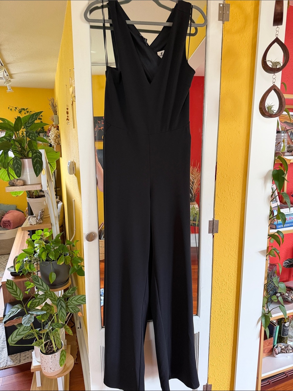 Express Black V-Neck Sleeveless Wide-Leg Jumpsuit with Cross-Back